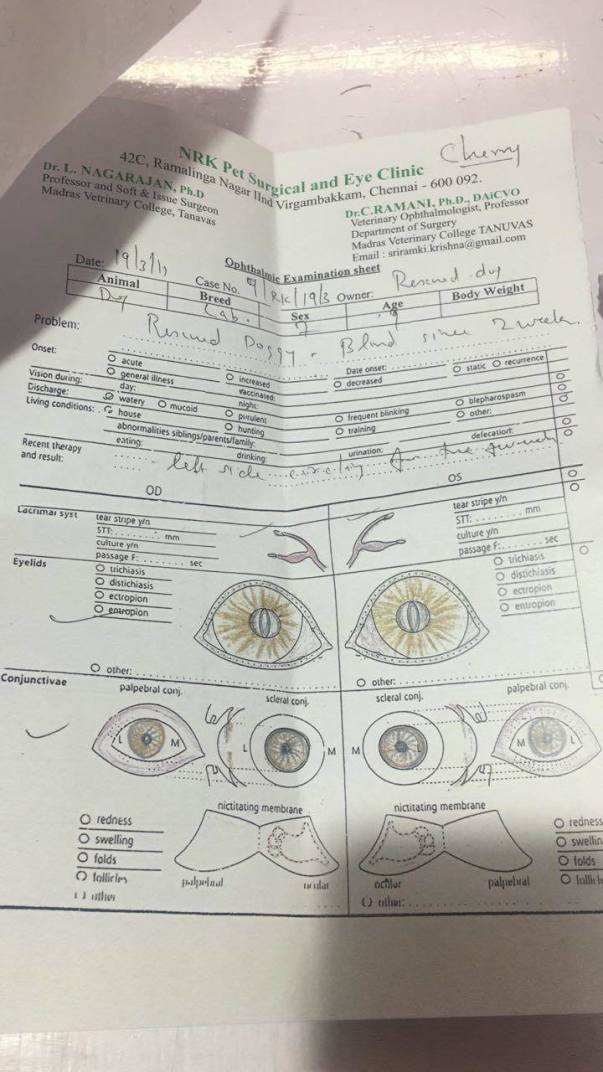 Doctor's prescription