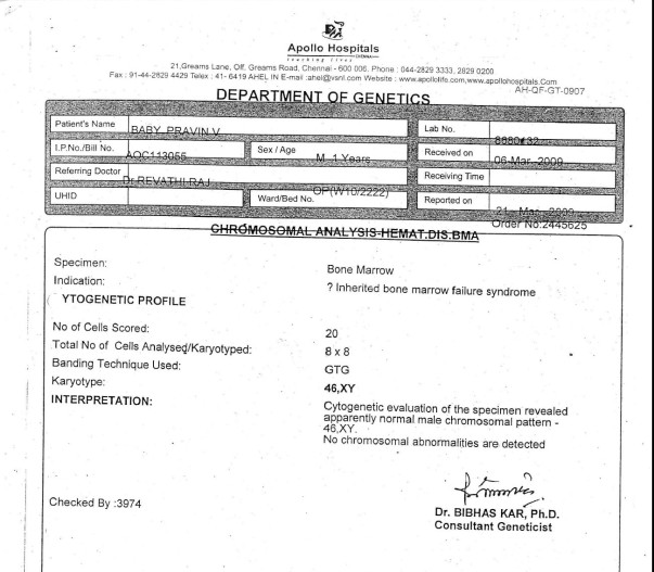Test report