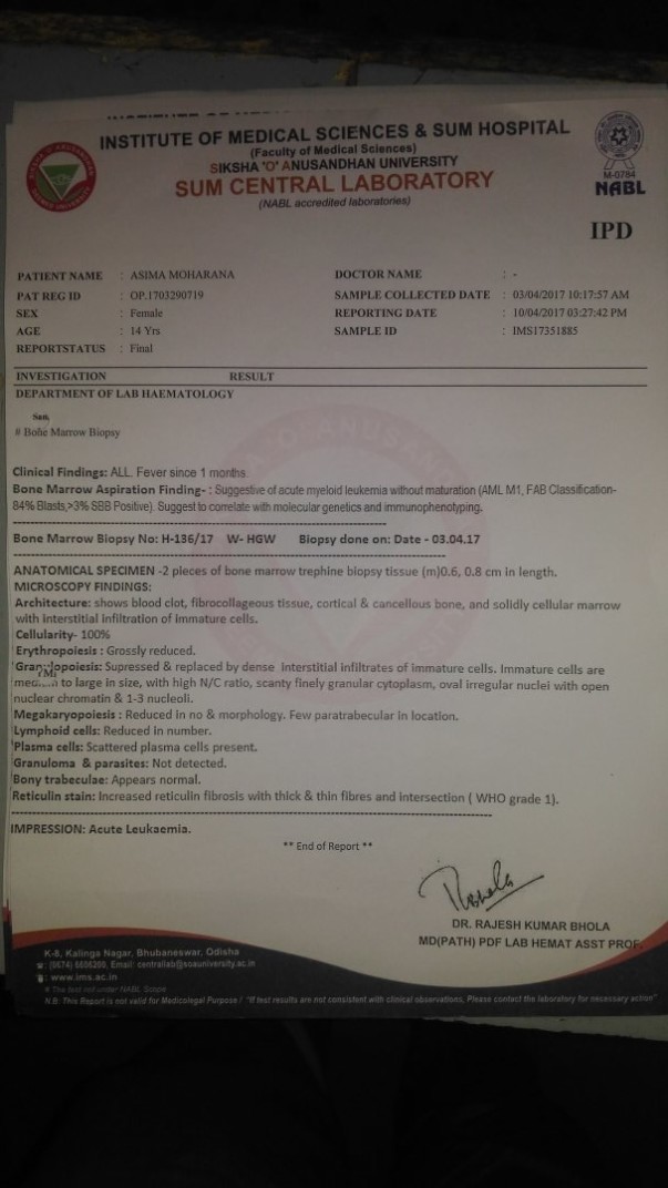 Bone Marrow Report
