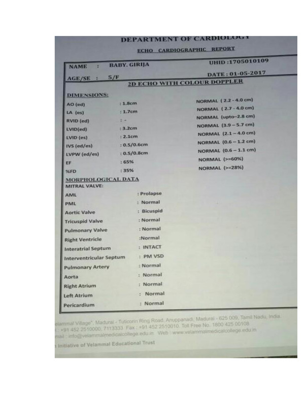 Echo scan report