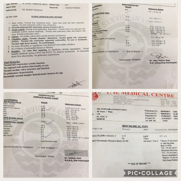 Various reports
