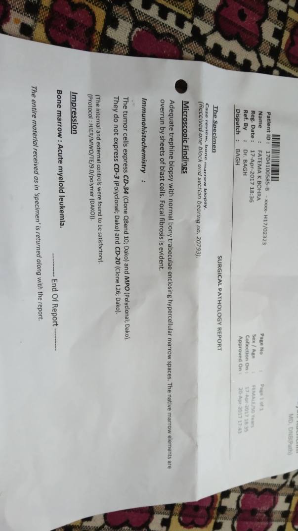 Bone marrow test report