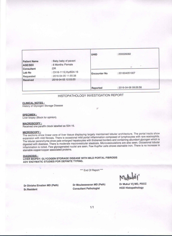 Liver Biopsy Report