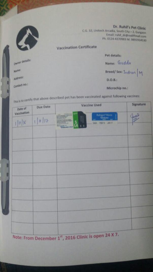 Guddu Vaccination details