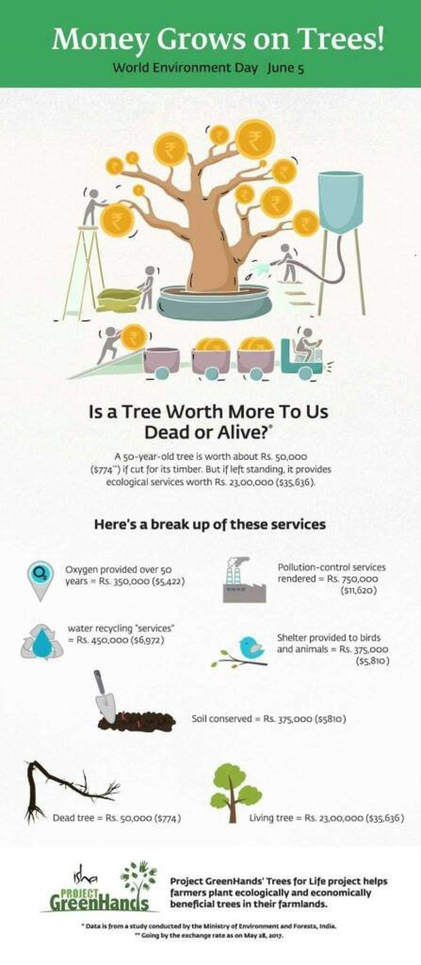 A tree is more worthy than you think!!