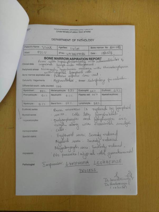 Test Reports