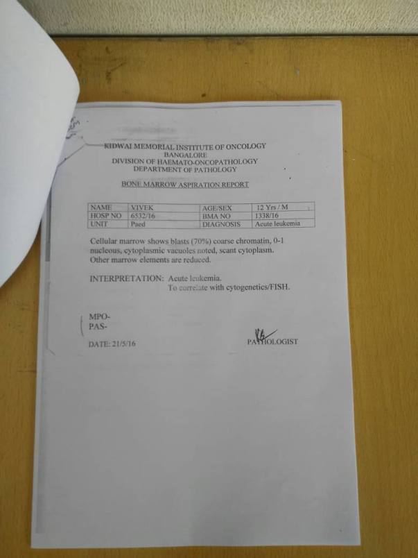 Test Reports