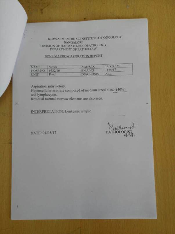 Test Reports