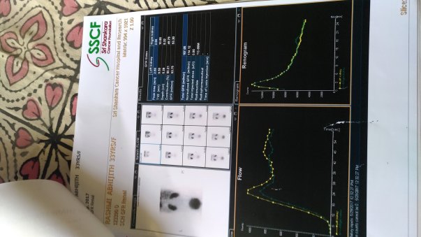 renogram report 1