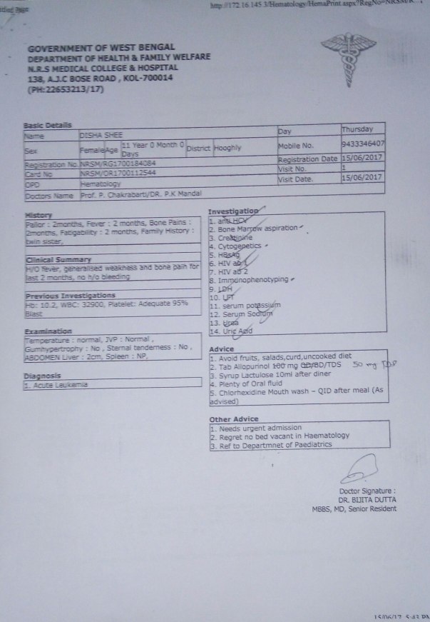 Test report