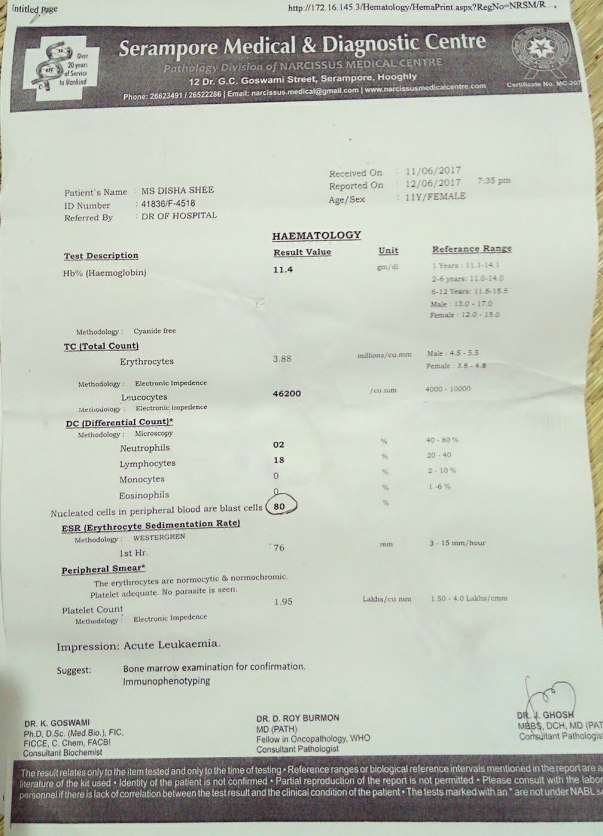 Test report