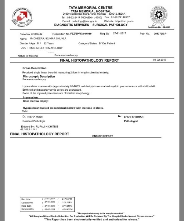 Bone marrow report 2