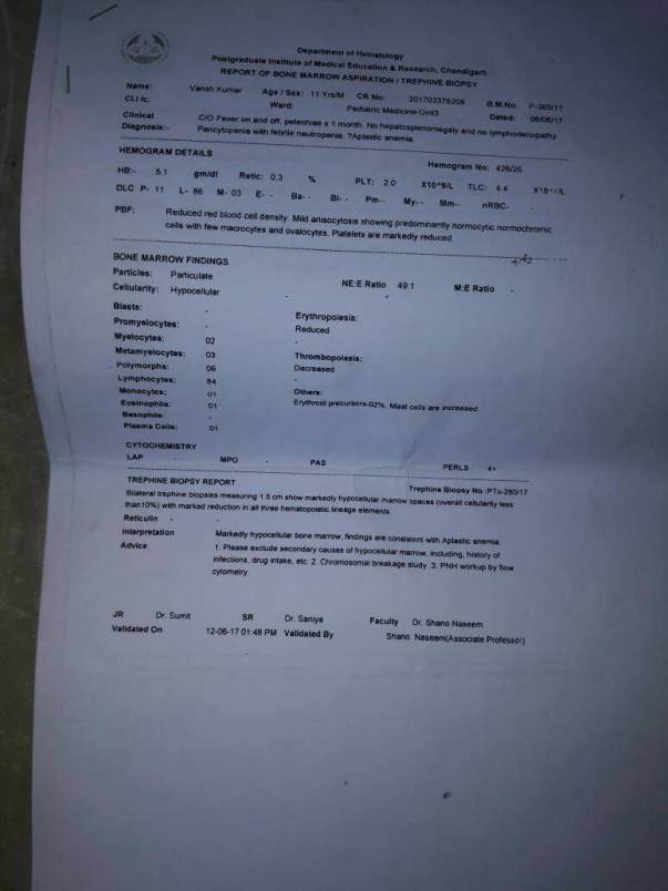 Report of Bone Marrow