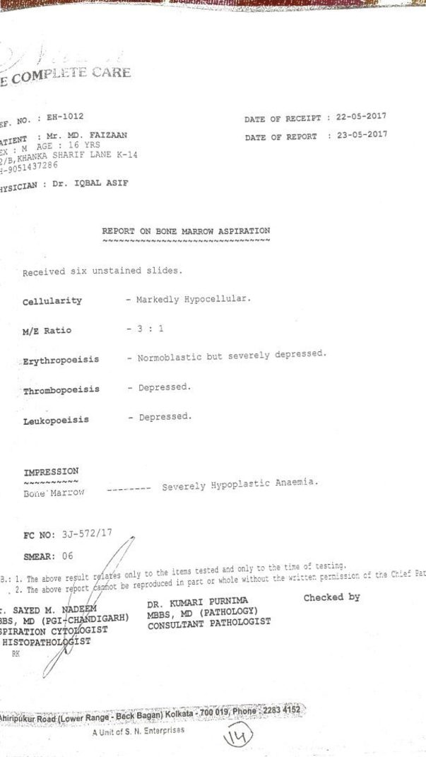 Aplastic Anemia Evidence