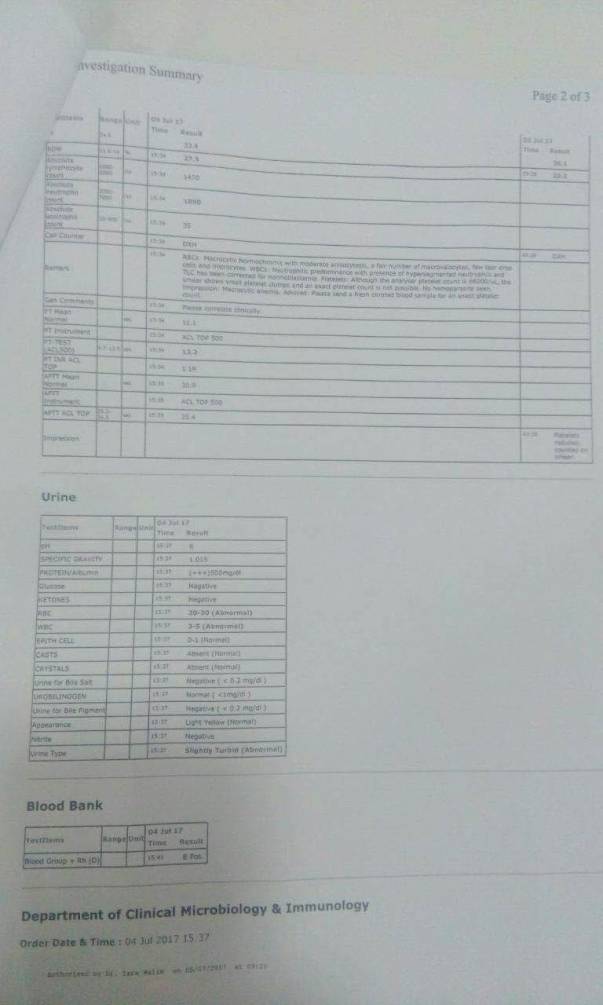 Investigation Summary_2