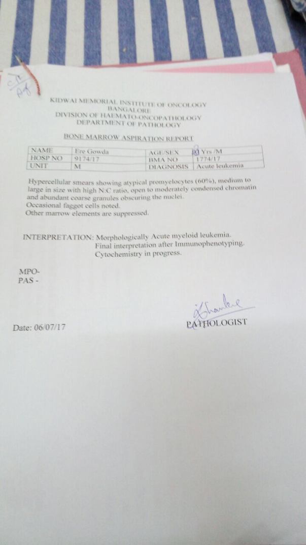 Bone Marrow test report