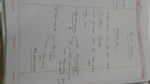 Daily progress, doctor reports