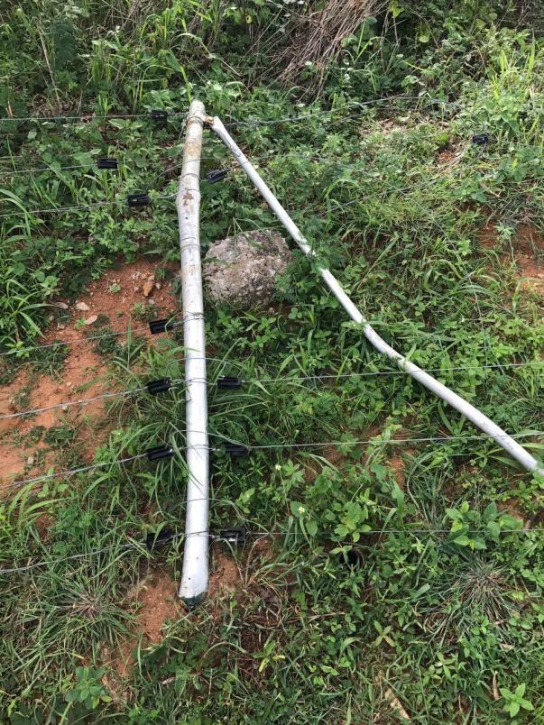 Damage done to our boundary fence by the wild elephant