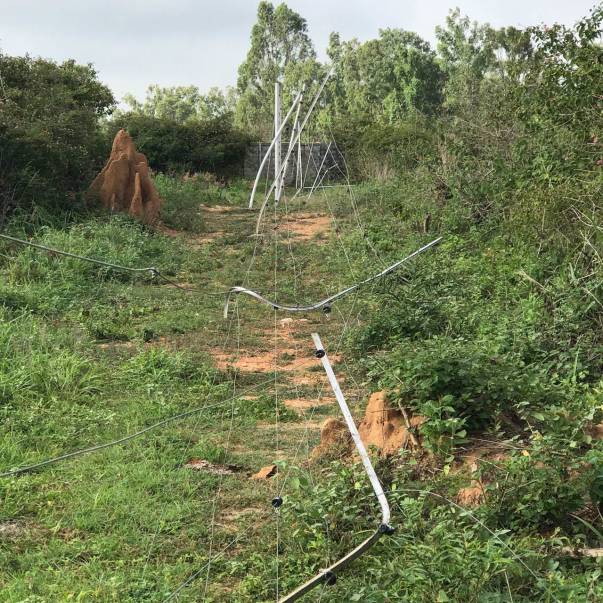 Entire fence line has been torn down