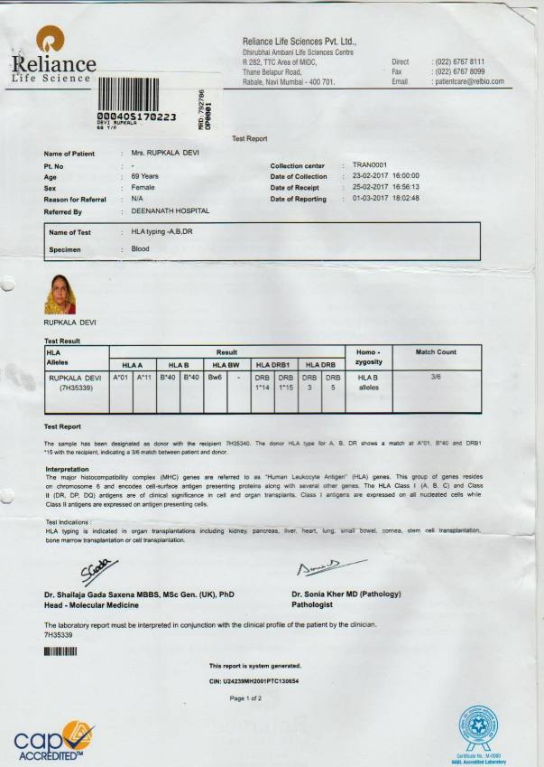 HLA of my mother in law (donor)