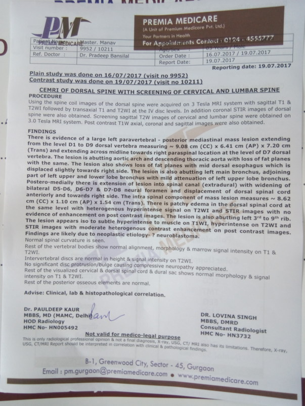 Test Results for whole scan of spine