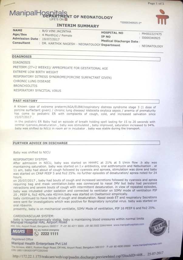 interim summary
