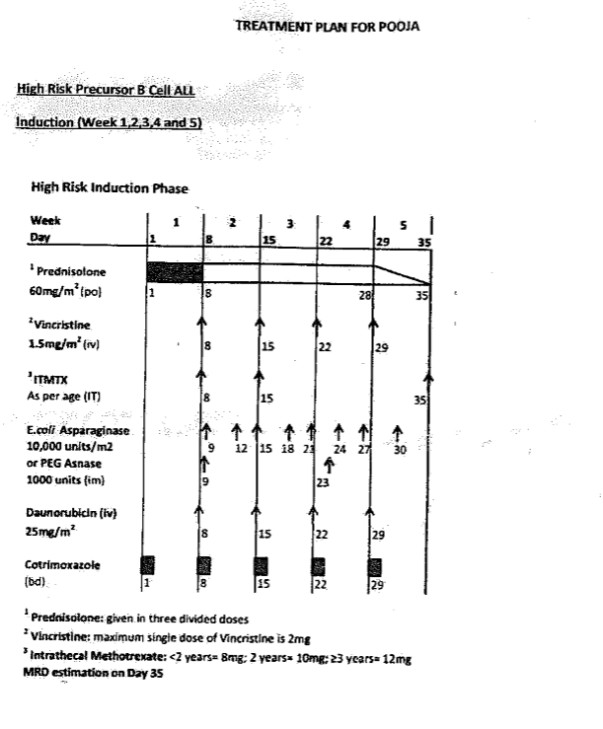 Treatment Plan - 3