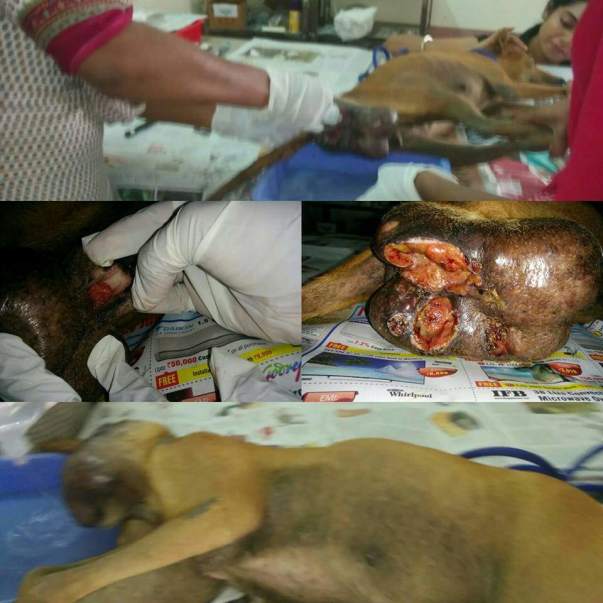 Zahra When undergoing Treatment