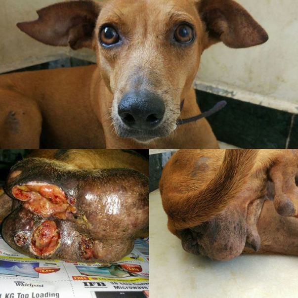 Zahra During treatment
