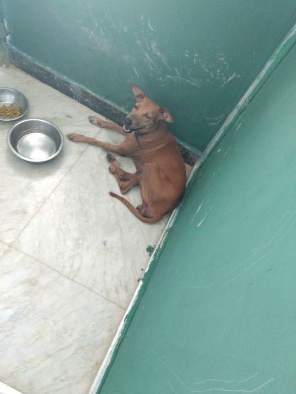 Zahra After two months