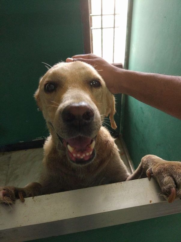 Arturo Undergoing treatment