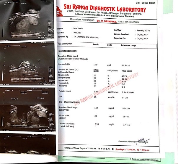 scan report2