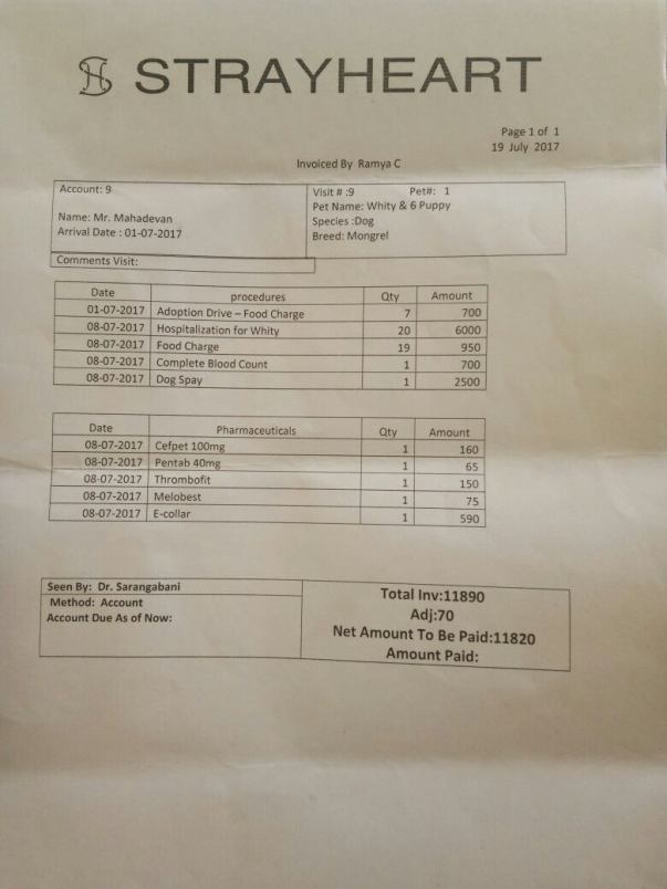 Whity Bill for Spaying (Birth Control Surgery)