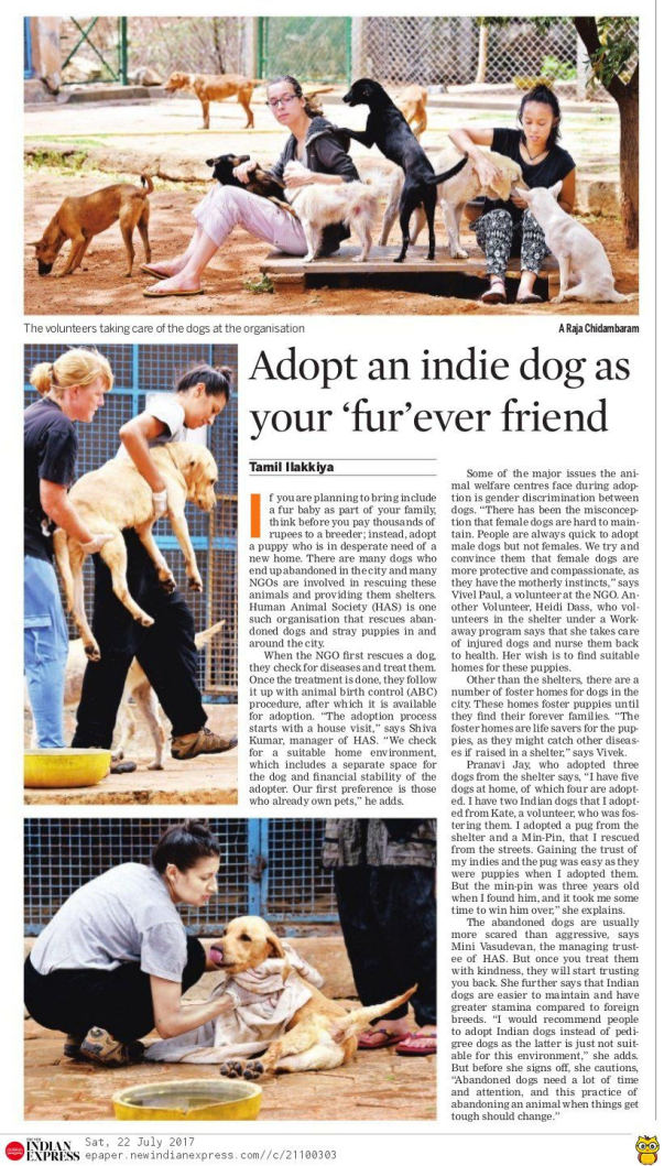 Our Work in the News