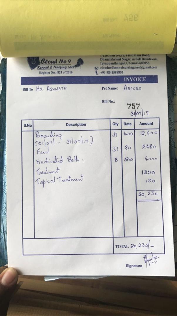 Bill of Arturo for July 2017
