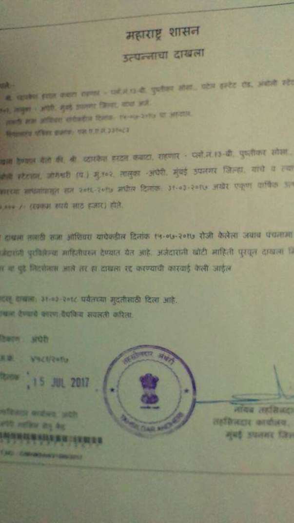 Zero income document