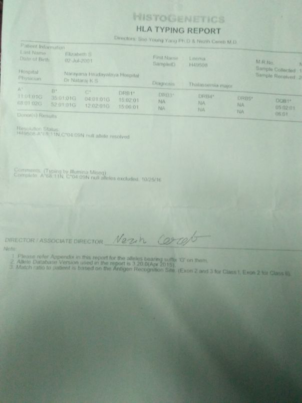 HLA REPORT