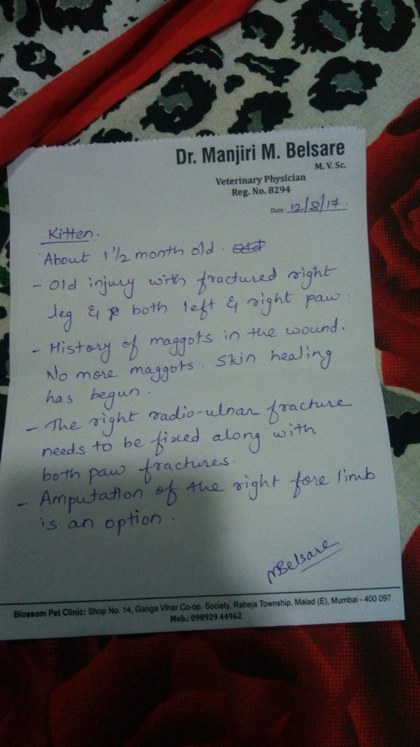 Condition of the wounds