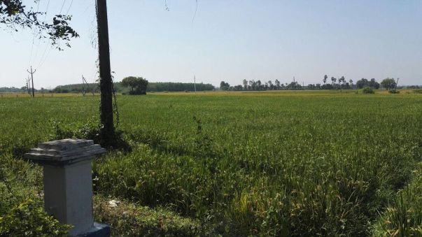Agricultural land