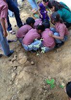 Tree Plantation Drive