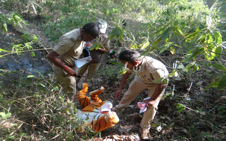 Shridhar D Bhat, Assistant Professor from College of Forestry, Sirsi Karnataka commenced the workshop with a session on the importance of wildlife and forests.