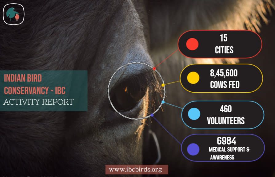 Click here to view the infographic