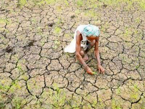 Help a farmer, he brings food to your table