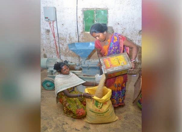 Help 25 Women Support Their Tribe!