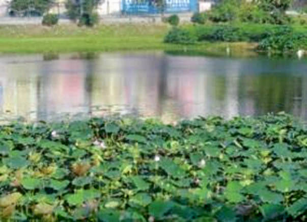 Peace Ride: Lake Restoration, Uttarahalli