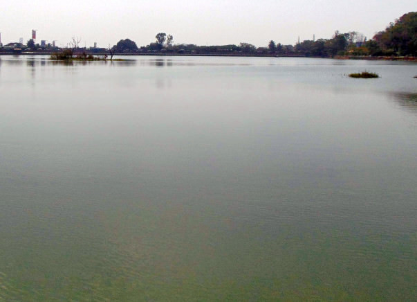 Peace Ride: Restoration of Sankey Tank, Malleshwaram