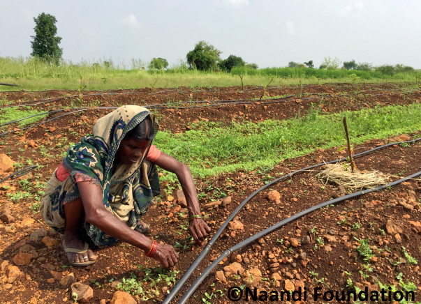 I am fundraising to help bring sustainable incomes to the farmers of Vidarbha through Mahindra’s #SeedTheRise initiative