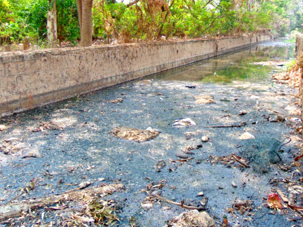 Bengaluru Marathon: Restoration of Chellakere Lake