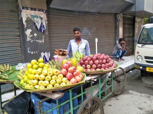 Help me to establish a business and survive