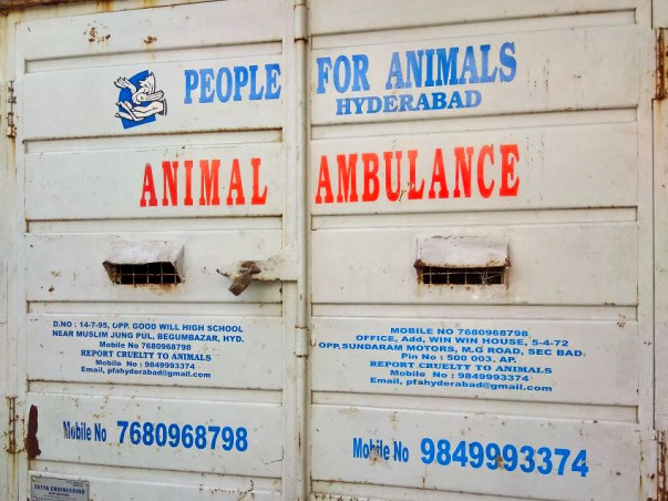 Funds required for rescue of animals